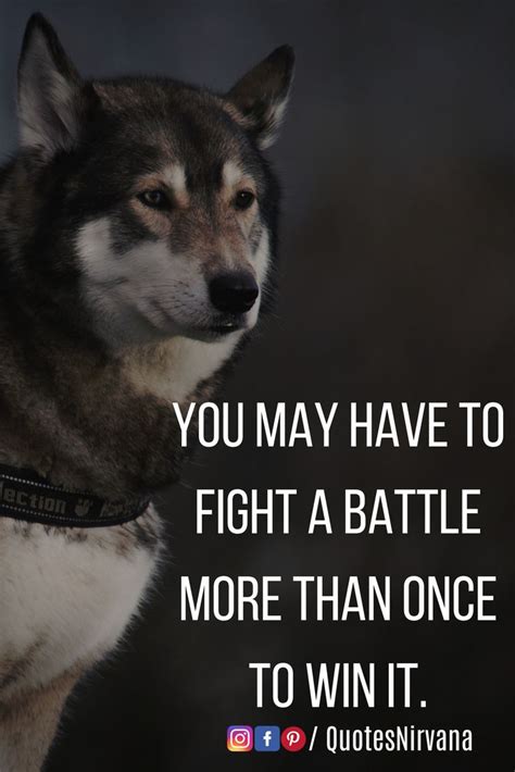 You May Have To Fight A Battle More Than Once To Win It Quote