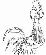 Moana Hei Coloring Pages Heihei Disney Maui Rooster sketch template