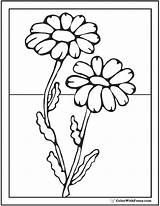 Daisy Coloring Pages Flower Glass Painting Flowers Colouring Outline Spring Designs Colorwithfuzzy Cute Paint Choose Board sketch template