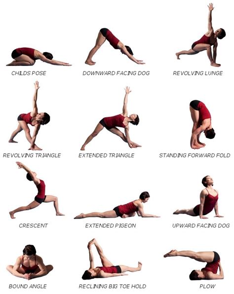 nice clear listing     main yoga poses yoga poses yoga