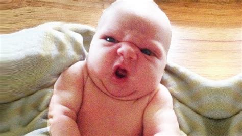 funny baby google funny babies funny baby pictures funny