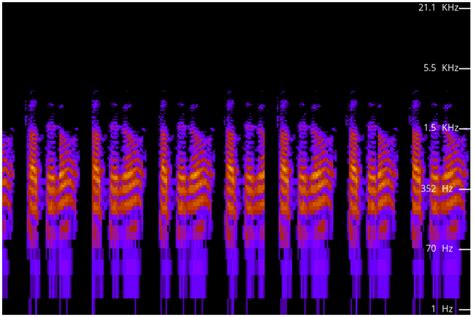 effect  noise  audio signals  scientific diagram