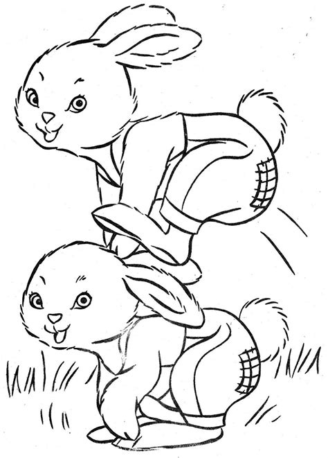 bunnys friends bunny coloring pages cute coloring pages coloring pages