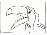 Coloring Toucan Pages Popular Library Clipart Sketch sketch template