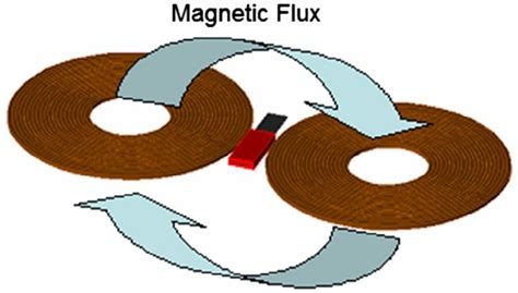 schematic diagram   coil  circular coils   side   scientific