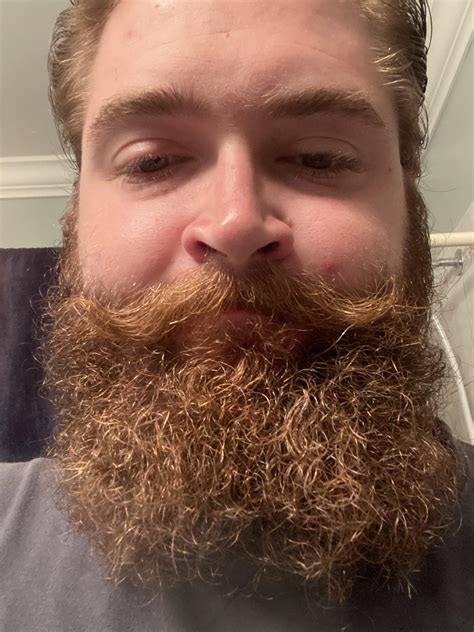 quarantine has made me go full dwarf beards