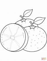 Oranges Coloring Pages Orange Mandarin Drawing Printable Getdrawings sketch template