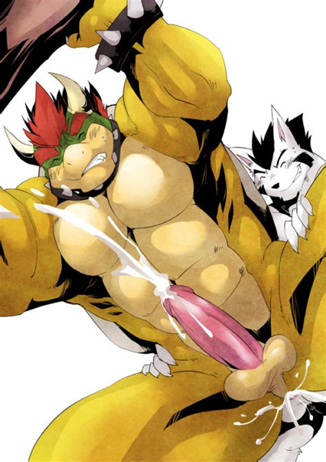 charizard and bowser furry