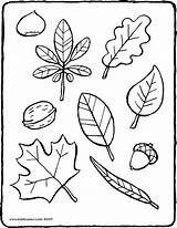 Autumn Leaves Drawing Paintingvalley sketch template