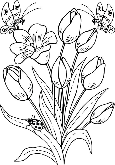 tulip coloring page images