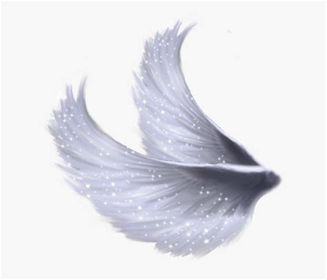 angel wings side png transparent png kindpng