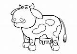 Mucca Vaca Koe Kleurplaat Stampare Descargar sketch template