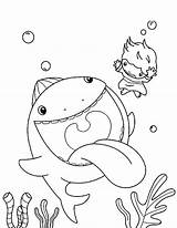 Whale Coloring Jonah Pages Blue Swim Away Beluga Baby Sperm Adults Getdrawings Printable Getcolorings Color Fish Easy Humpback Colorings Print sketch template