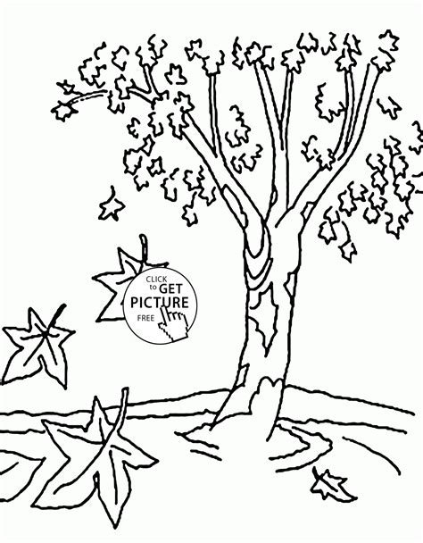 autumn tree coloring pages printable