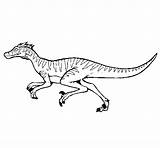 Velociraptor Coloring Dinosaur Color Dinosaurs sketch template