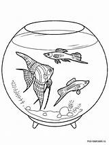 Aquarium Coloring Pages Fish Printable Animals Domestic Recommended sketch template