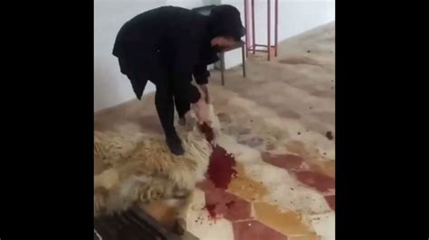 woman slaughter  sheep  feet youtube