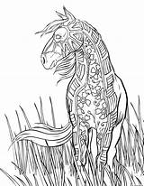 Coloriage Cheval Adulte sketch template