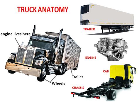 truck anatomy car anatomy  diagram