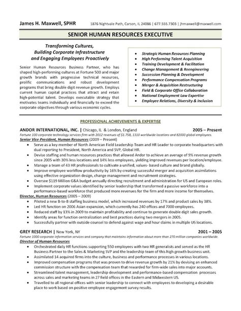 top  executive resume examples written   professional recruiter