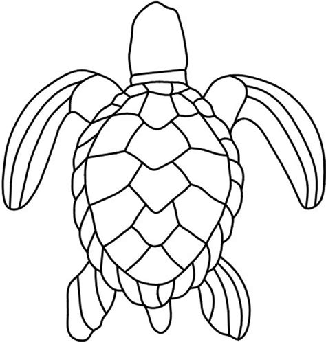 turtle shell pattern clipart