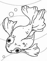 Goldfish Coloring Pages Printable Kids Gambar Fishes sketch template