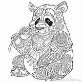 Ausmalen Panda Mandalas Erwachsene Zentangle Pandas Malvorlagen Elefant Zeichnung Gemerkt Baum sketch template