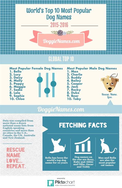 worlds top   popular dog names  bellas