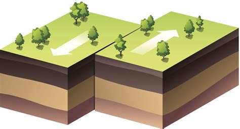 learn   fault types