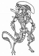 Coloringtop Aliens Printable Predator sketch template