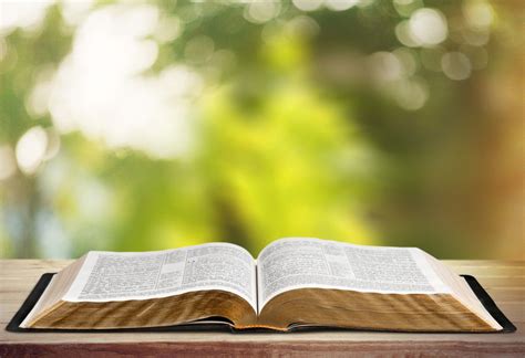 easy bible trivia spiritual ray
