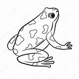 Dart Frog Poison Coloring Getdrawings Drawing Cartoon sketch template