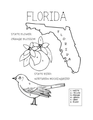 florida state bird  flower coloring page teaching resources