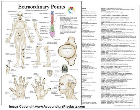 extraordinary acupuncture points 2nd ed clinical charts and supplies