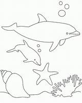 Ausmalbilder Delfine Coloring Dolphin Visit Pages sketch template