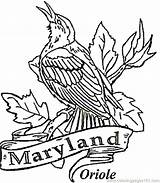 Coloring State Pages Maryland Bird Oriole Printable Iowa Baltimore Color Drawing Usa Birds Razorback Kids Logo Arkansas Mlb Blossom Apple sketch template