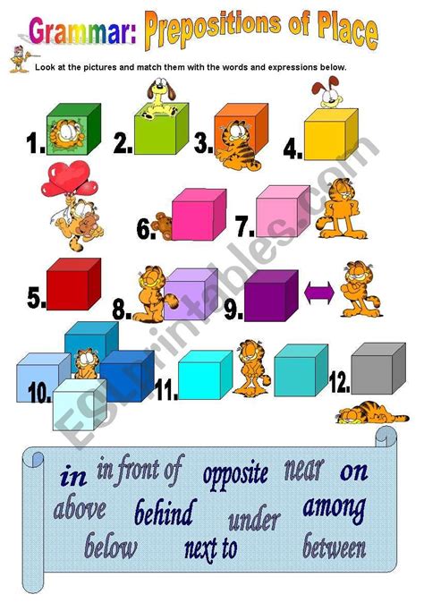 matching exercise       introductory activity
