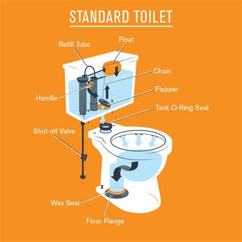 understanding  parts   toilet