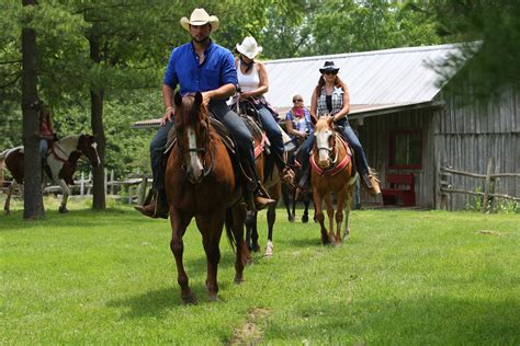 horseback riding london strathroy bed  breakfast texas longhorn ranch