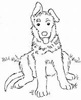 Pages Shepherd German Coloring Dog sketch template