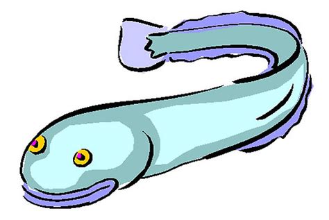 eel cliparts   eel cliparts png images  cliparts