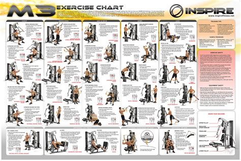 clipsupercom weider home gym exercise chart workout chart gym