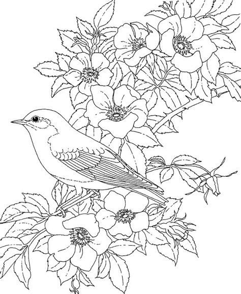 bird coloring page bird coloring pages animal coloring pages flower