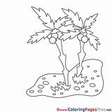 Coloring Sheets Palms Sand Sheet Title sketch template
