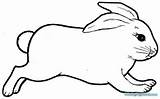 Kelinci Mewarnai Sketsa Berdiri Untuk Putih Hitam Hase Binatang Diwarnai Colouring Hewan Jumping Coloringhome Printing Peliharaan Telinga Clipartix Ausmalbild Preschoolers sketch template