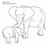 Elephant African Color Baby Coloring Mother Calf Pages Mom Line Own Musings Inkspired Index Kids sketch template