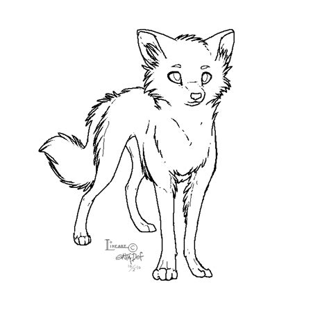 wolf lineart coloring pages wolf colors wolf drawing
