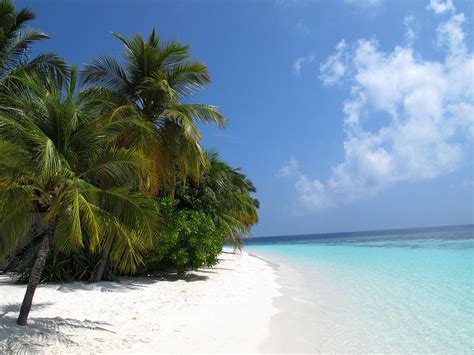 maldives dhivehi raajje indian ocean maldives travel  tourism