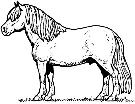 horse  pony coloring sheets
