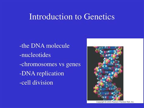 Ppt Introduction To Genetics Powerpoint Presentation Free Download